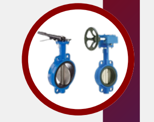 Butterfly Valve